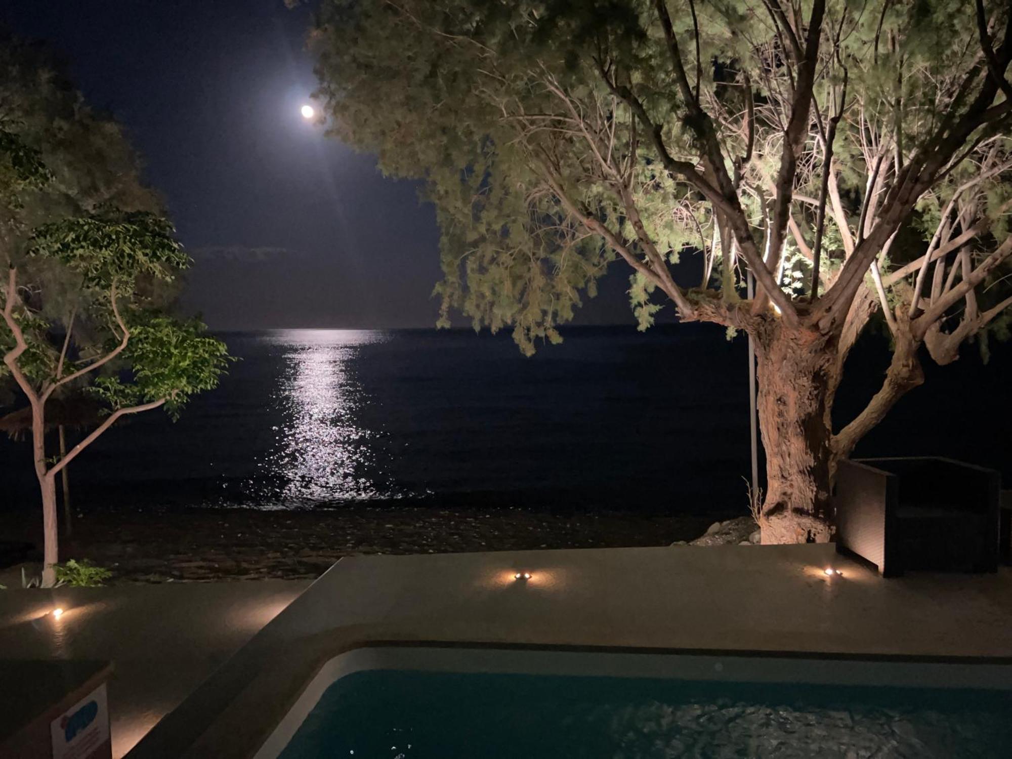 Nikkon Luxury Living Villa Arvi  Eksteriør bilde